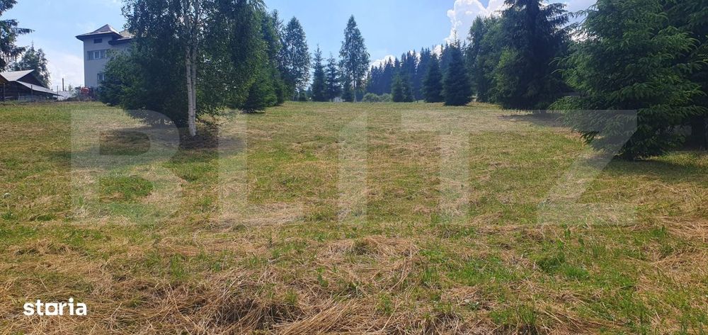 Teren 3.268 mp, intravilan, zona Vatra Dornei