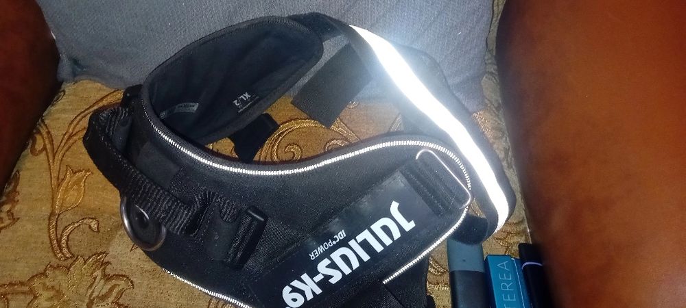 Ham pt câini de talie mare