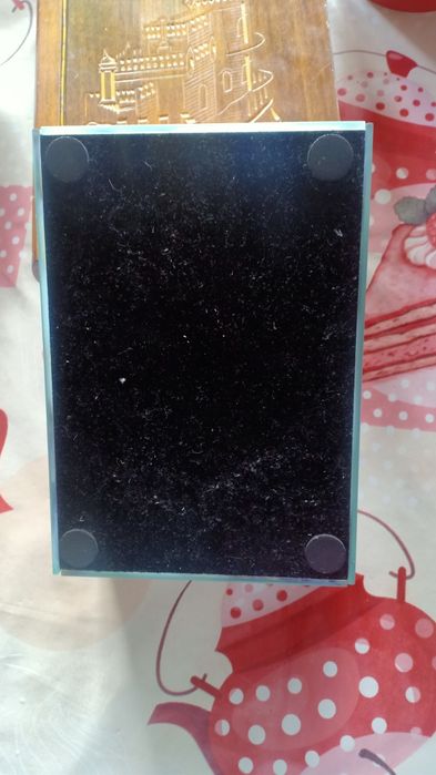 Стеклянная шкатулка с цветами.