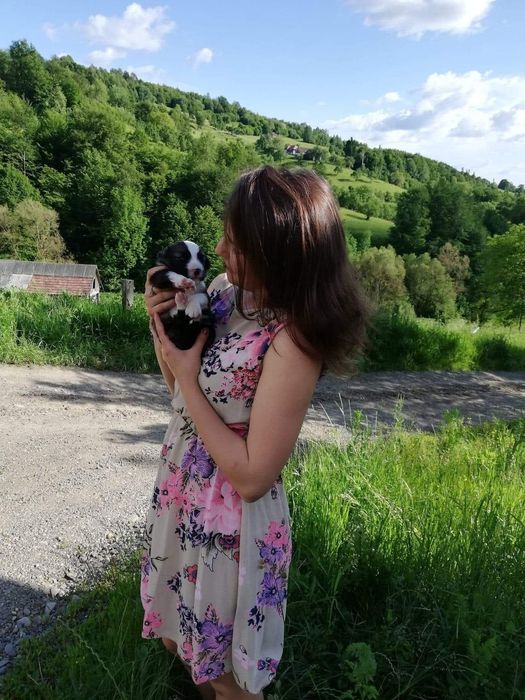 Rochiță de vară, înflorata