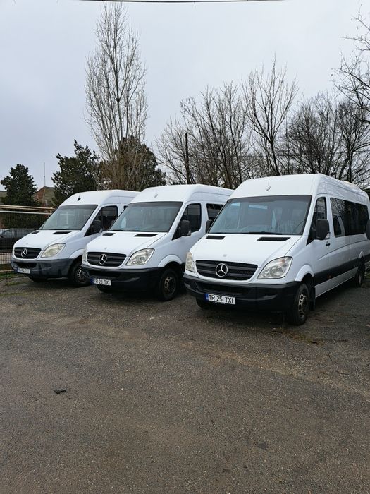 Lichidare parc auto, 6×Mercedes Sprinter 516