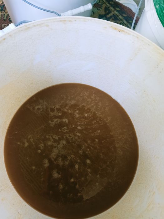 Алтайский мёд 2500тг