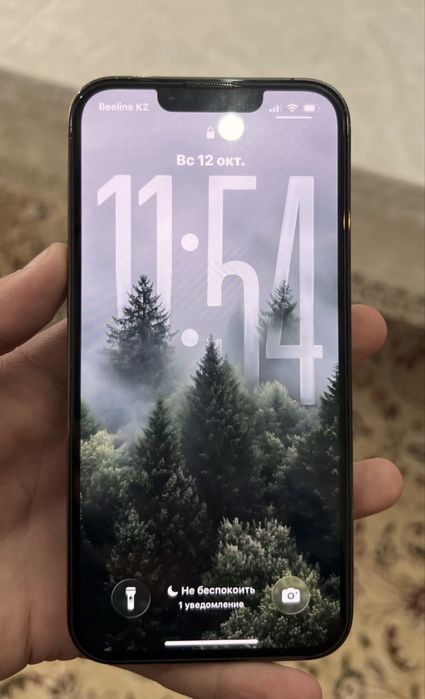 iPhone 13 pro с гарантий
