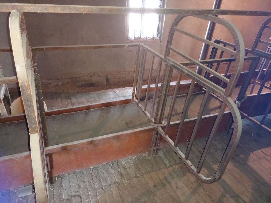 Охурлар бор мол ва қўйга