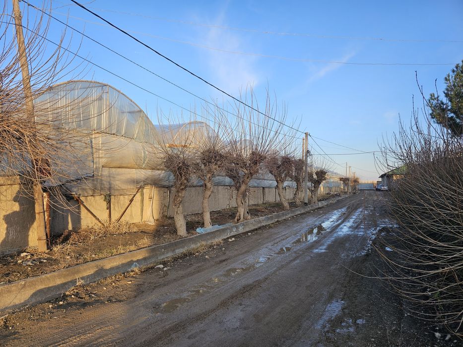 Иссикхона Теплица Парник Лимонария Навоий Вилоят Кармана Эски Шахарда