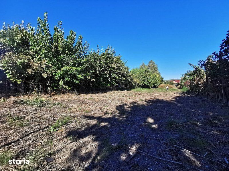 Teren de vanzare in zona Ostroveni