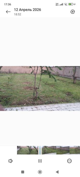 Тошкент вилояти Тойтепа Акмал Икром дала ховли
ҚУРУҚ ЙЕР, ТЕПЛИЦА ПАРН