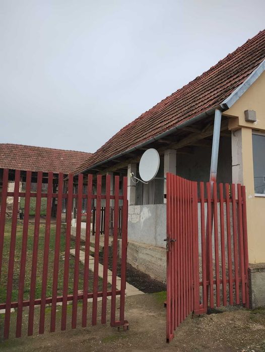 Casa de vanzare in Cosarii