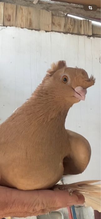 Молодеж летно игровых глубей!