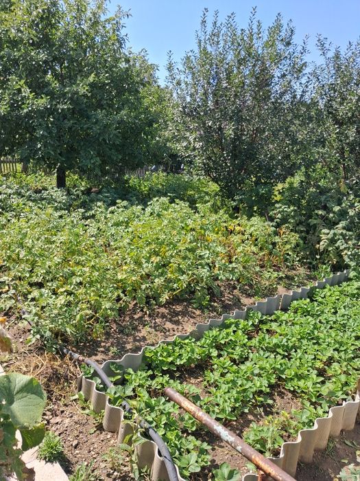 Продам дачу в Кожохаво