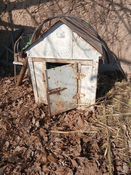 Itlar uchun uy,  holati yaxshi