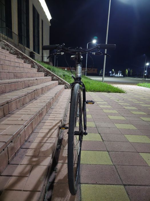 Фикс/синглспид Reid Harrier 2.0