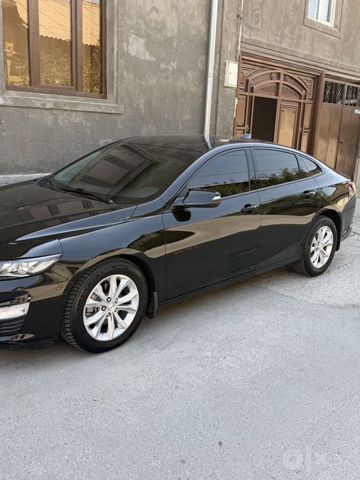 Malibu XL 2023 tozza
