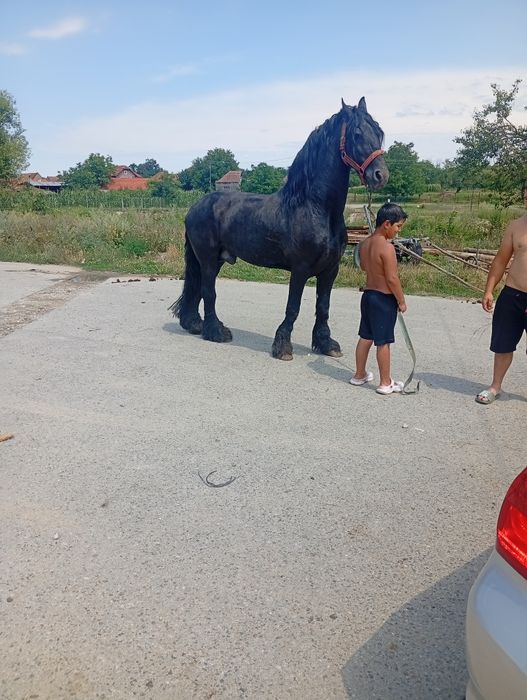 Vand//și de monta