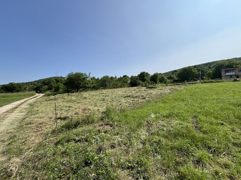 Косене на трева,чистене на имоти,поддръжка на градини