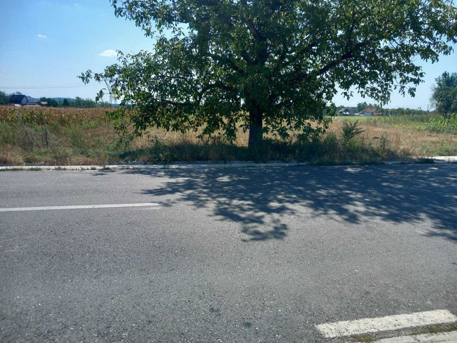 Teren cu suprafața de 5013mp , în Bratia din Deal, com. Galicea , jud. Vâlcea