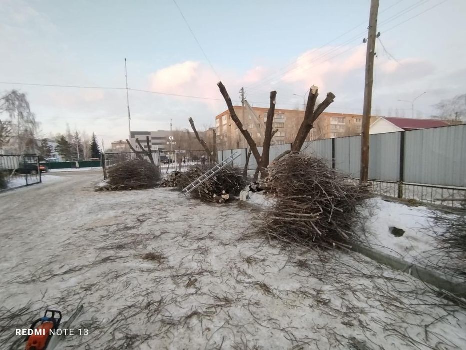 Кронирование деревьев, спил сухих и опасных деревьев.