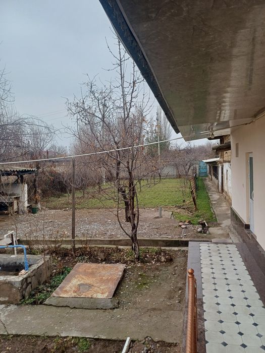 Янги Узбекистон богидан 3км узокликда жоилашкан ховлини ярми