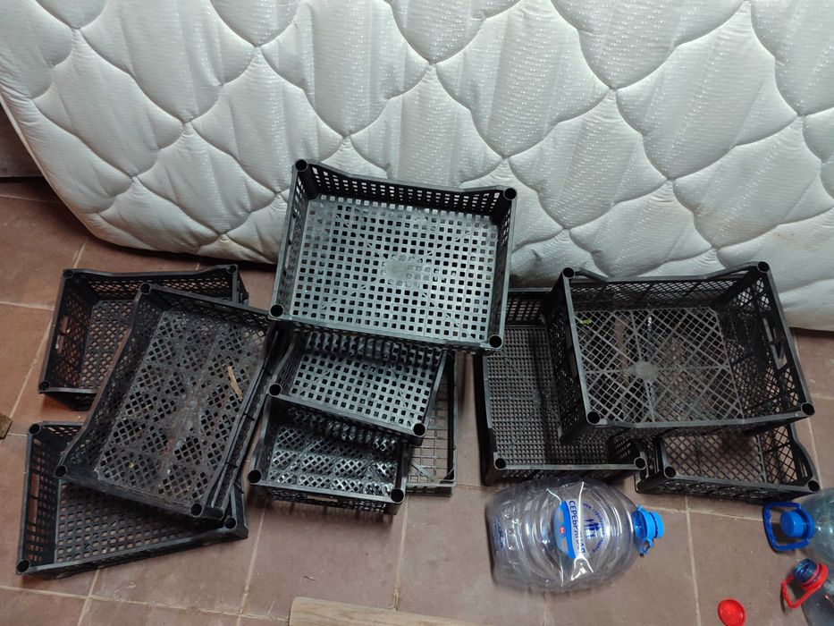 Ящики корзинки пластиковые