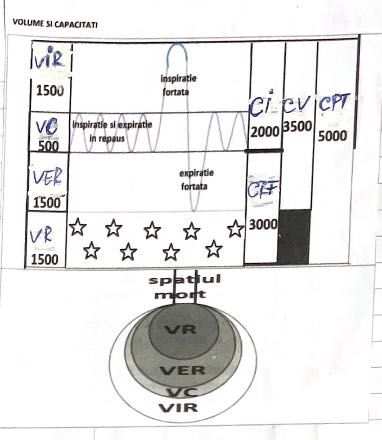 Vând materiale complete admitere Medicină UMFCD Biologie și Chimie