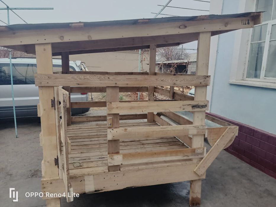 Қой қора бордақылауға