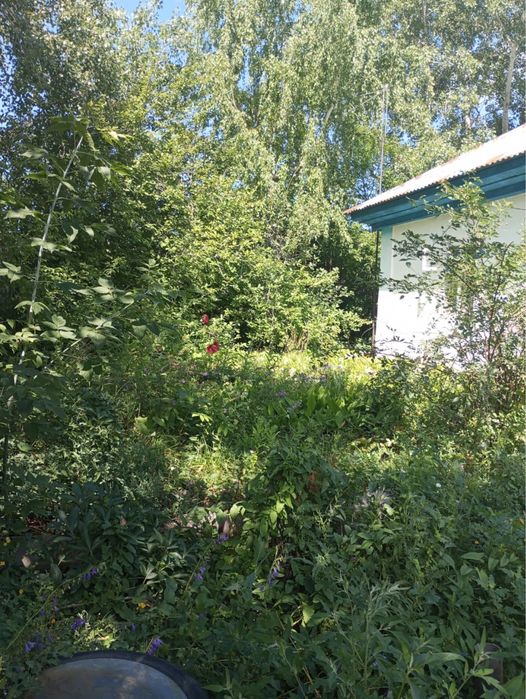 частный дом в глубоком