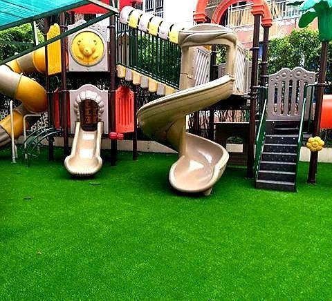 Gazon Iskustini.. Optom