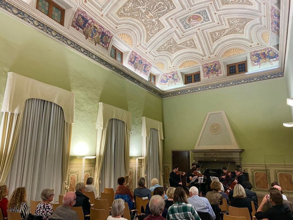 Lecții de vioară/muzică în Cluj/Florești