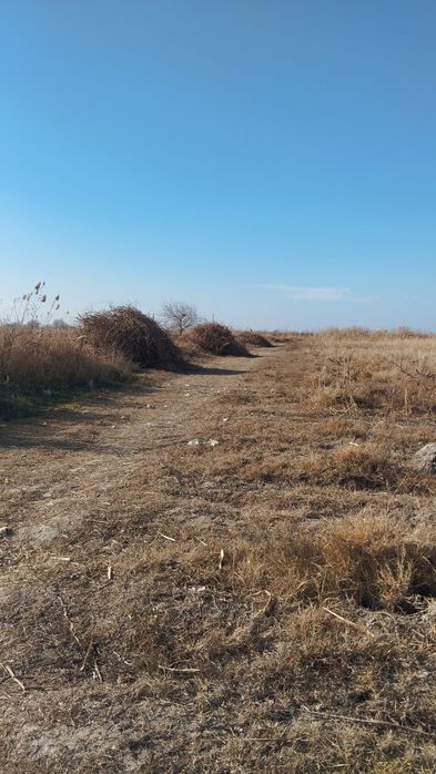 Арзон нархларда утин сотилади