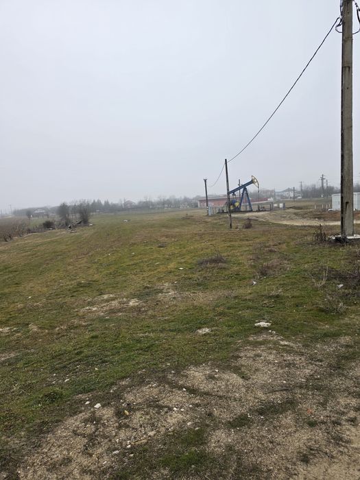 Teren Priseaca/Dragomirești