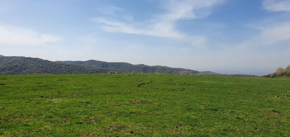 Участок под Оздоровительный комплекс