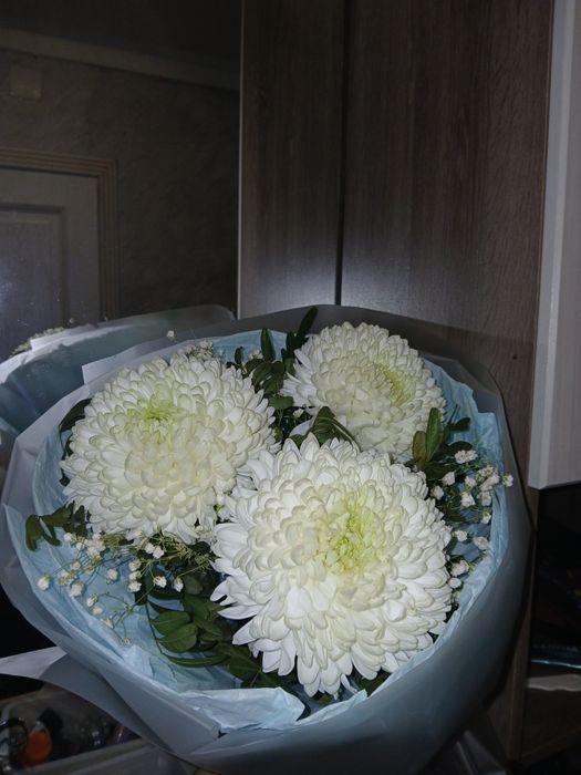 Новые хринтаземы