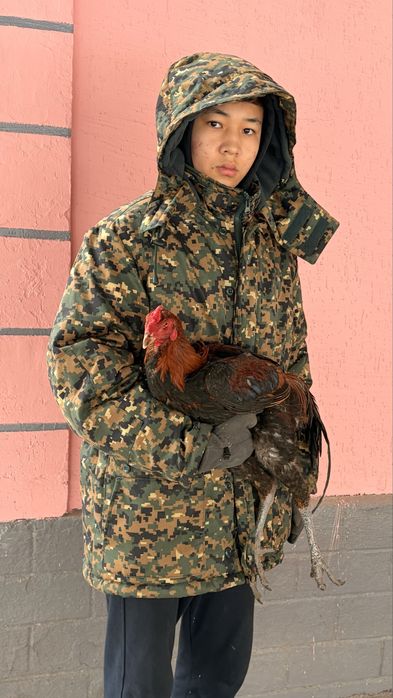 Дакан шөже сатылады