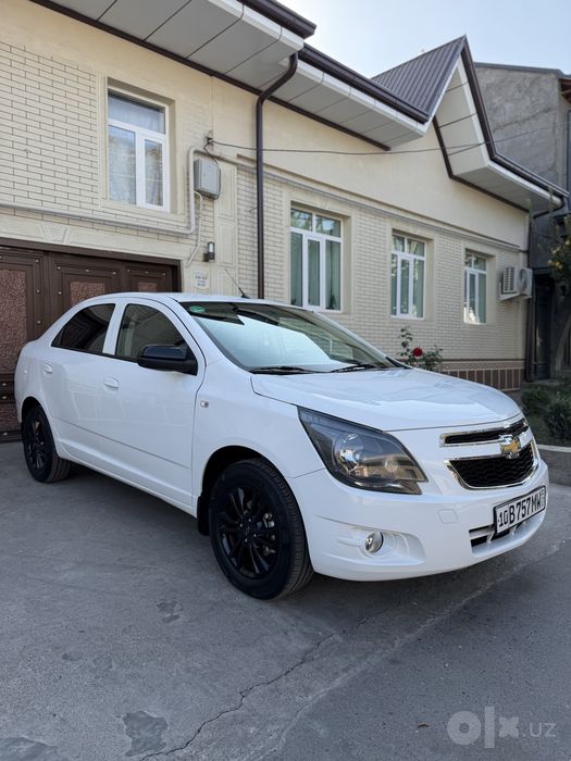 Cobalt midnayt gazi bor