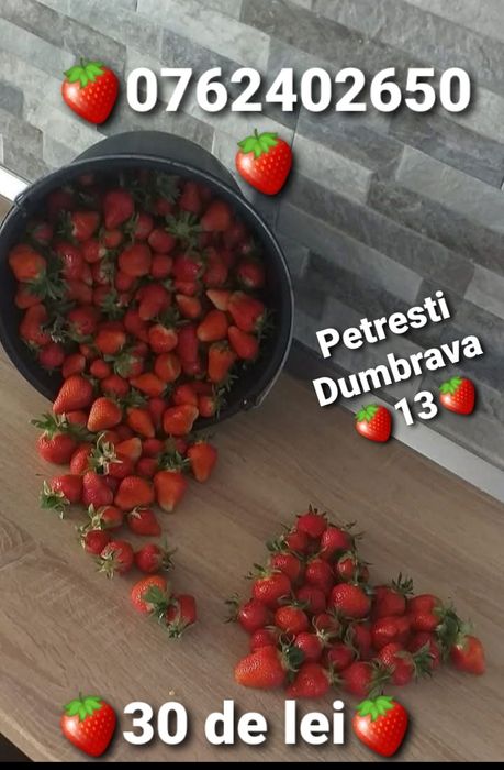 Căpșuni de vanzare