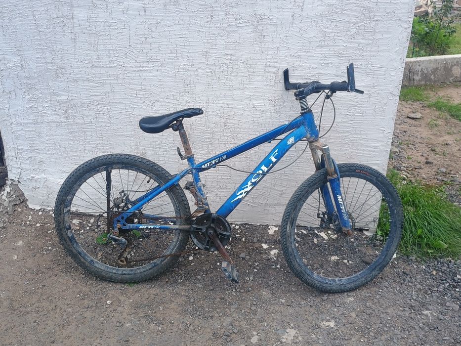 Велик  нормални керемет