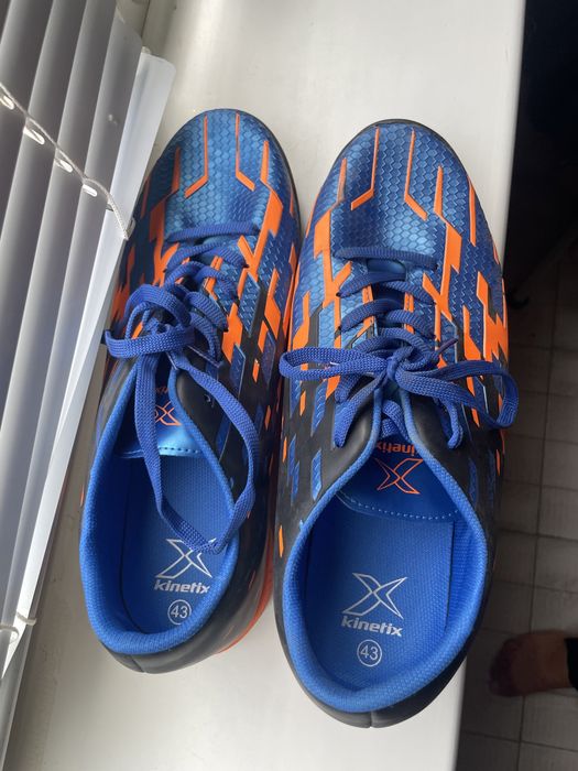 Сороконожки