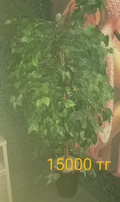 Продам искусственные деревья