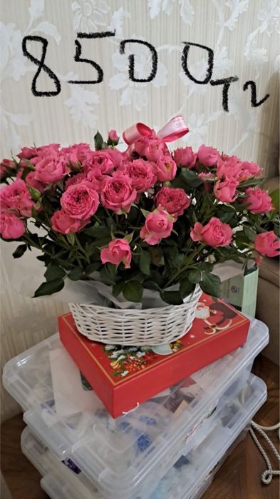 25шт роза бүгінгі 01.05.26