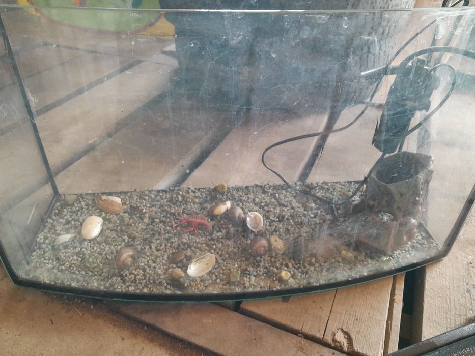 Аквариум для рыбы