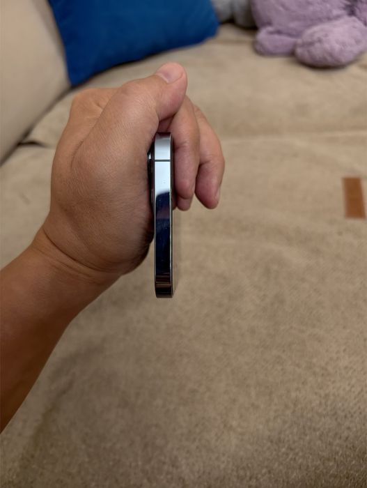 iPhone 13 Pro max 256Gb
