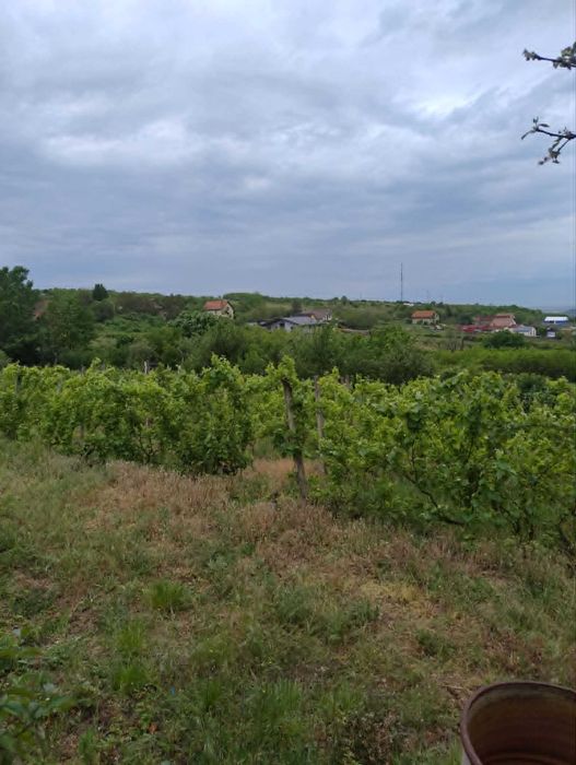 Casa zona Doja,  panorama deosebita