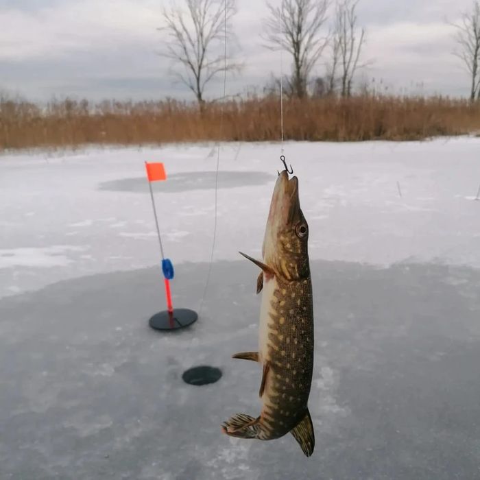 Жерлицы для зимней рыбалки