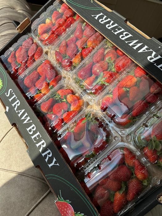 Клубника египет оптом