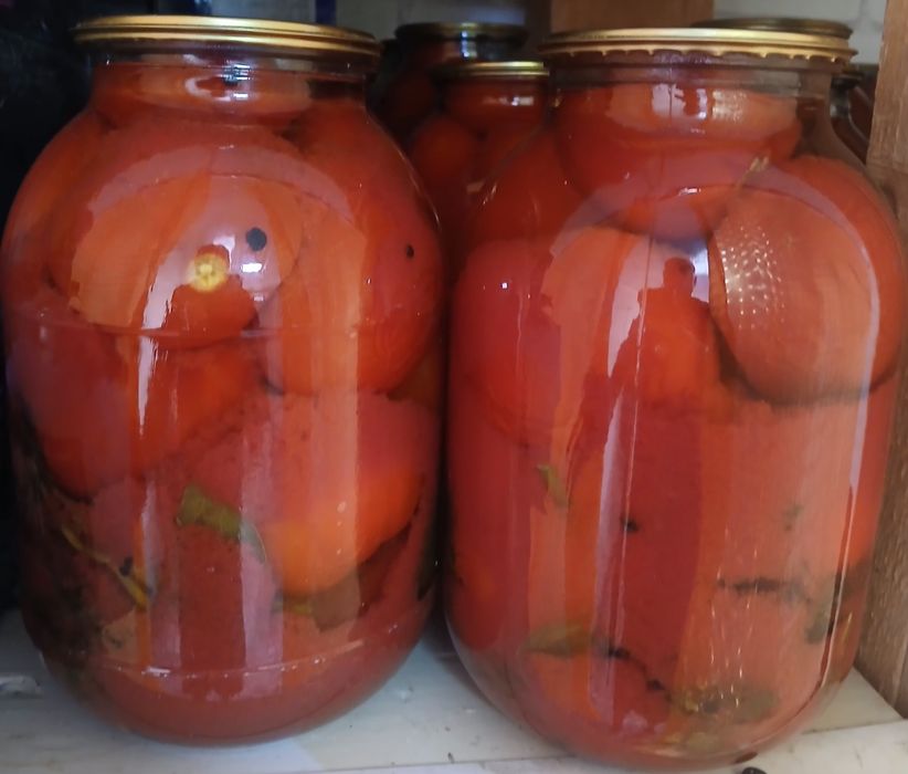 Маринованные огурцы помидоры лече
