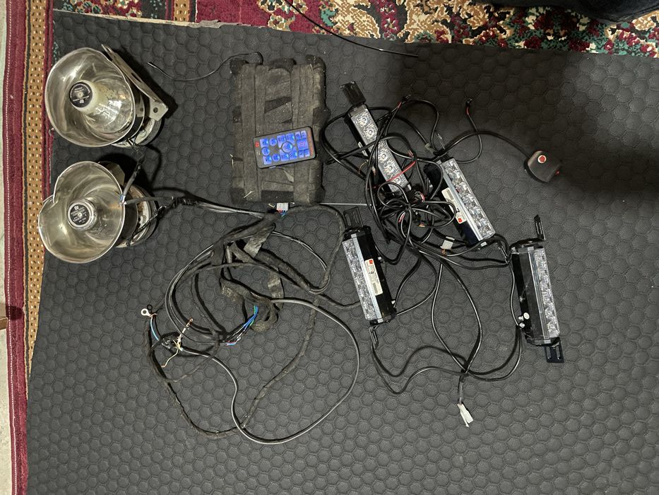 Serena migalka ideal