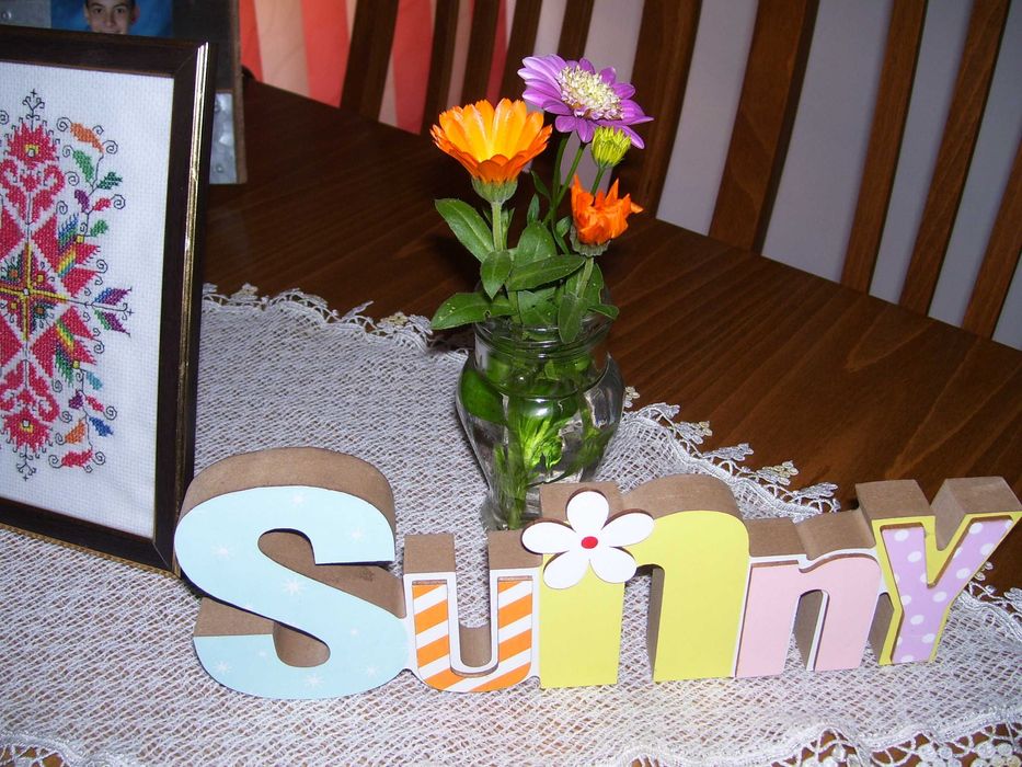 фотоапарат Kodak C533