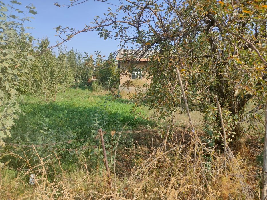 Yuqori Chirchiq janbul sentrda joylashgan