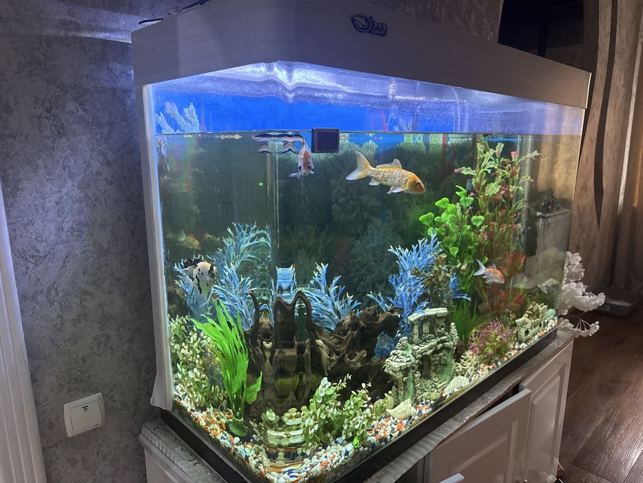 Продаемся аквариум 600 литров