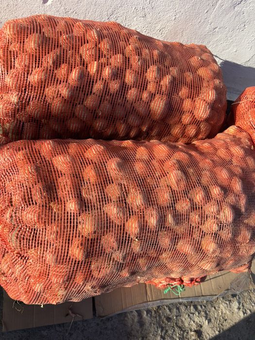 Картофель Коломбо